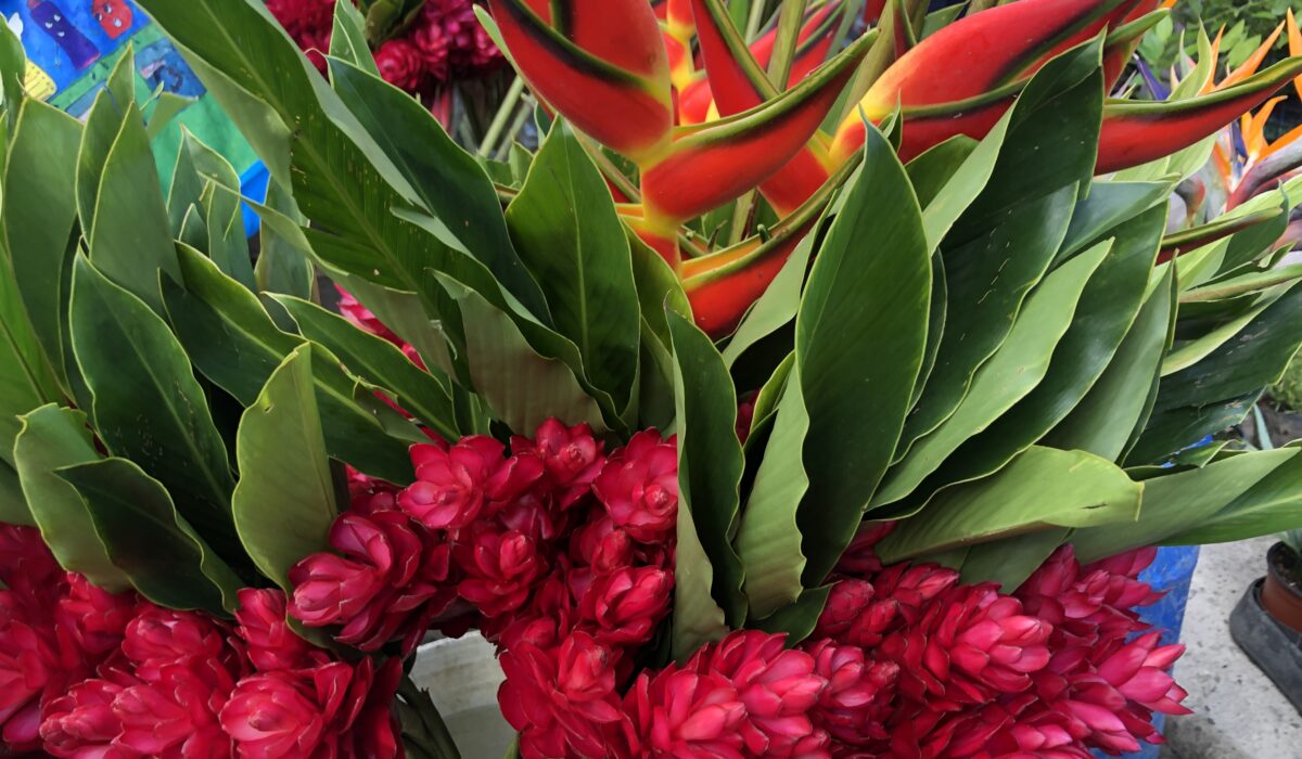 Flowers