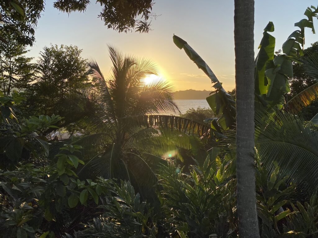 Sunset